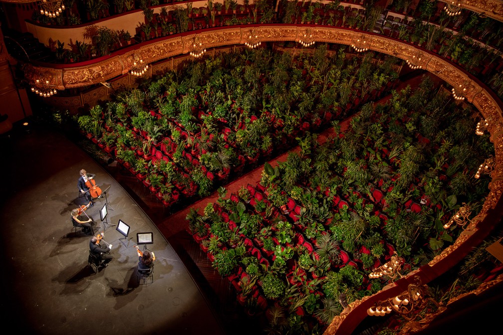 22 de junho - Músicos ensaiam no Gran Teatre del Liceu de Barcelona, na Espanha. Quando as portas se abriram para a apresentação de "Crisantemi", de Puccini, pelo Quarteto UceLi, as 2.292 cadeiras do auditório estavam ocupadas por plantas e a apresentação foi transmitida ao vivo pela internet  — Foto: Emilio Morenatti/AP