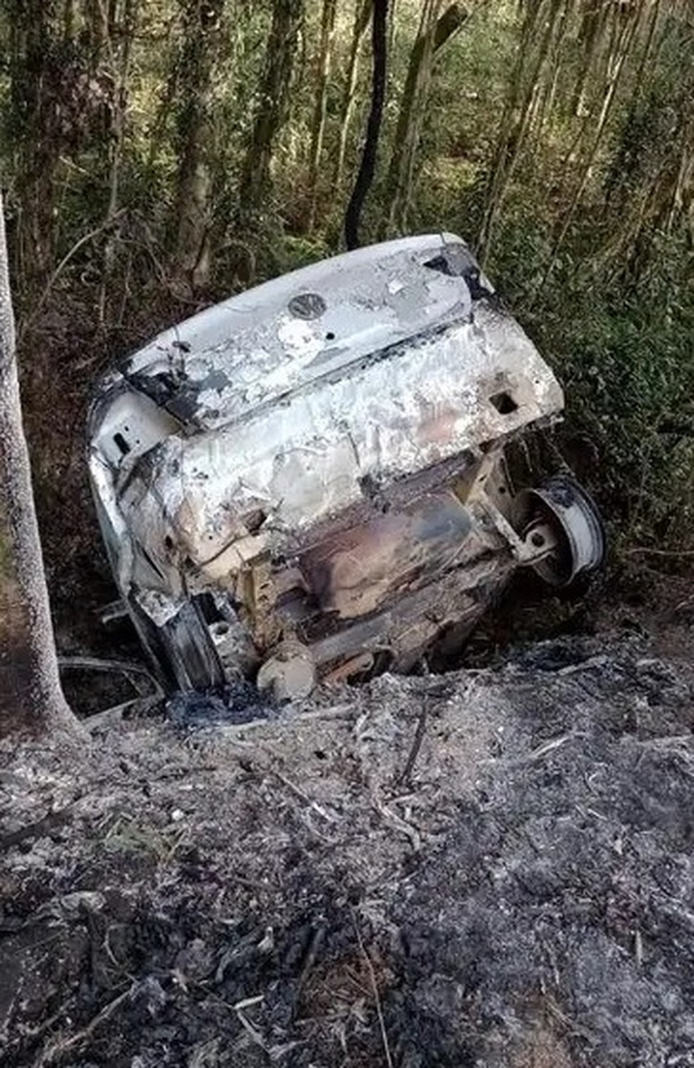 Carro queimado onde corpo foi encontrado próximo  — Foto: Corpo de Bombeiros/Divulgação