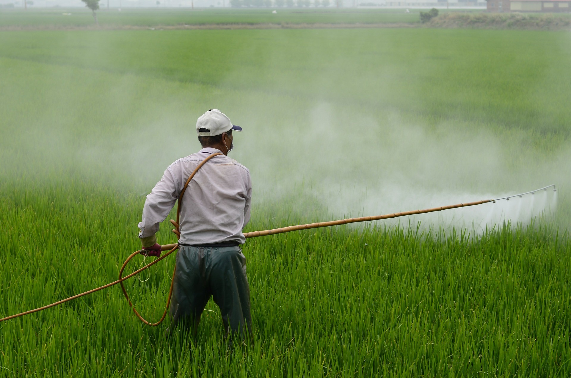 Um terço das terras de uso agrícola no mundo tem 'alto risco' de contaminação por pesticidas thumbnail