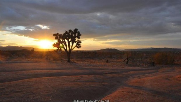 Vale da Morte, no Deserto de Mojave (Foto: Jessie Eastland/CC by 3.0)