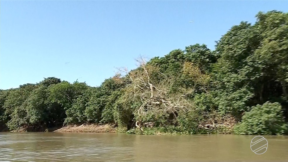Rio Paraguai, em Corumbá — Foto: Reprodução/TV Morena