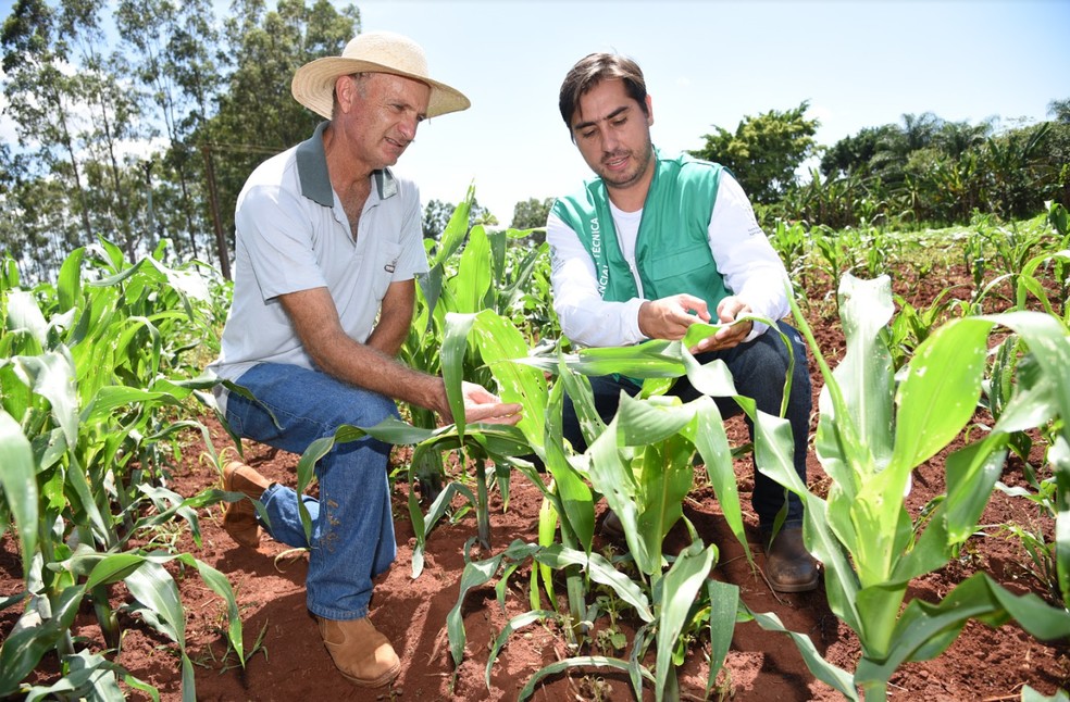 Cursos do Senar/MS promovem qualificação profissional para 15 mil pessoas em MS — Foto: Divulgação