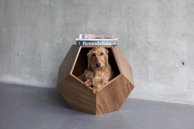 Casinha de cachorro: 20 ideias fora do comum (Foto:  )