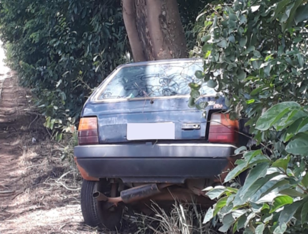 Irmãos morrem após batida de carro em árvore na BR-265, entre Ilicínea e Boa Esperança — Foto: Redes sociais 
