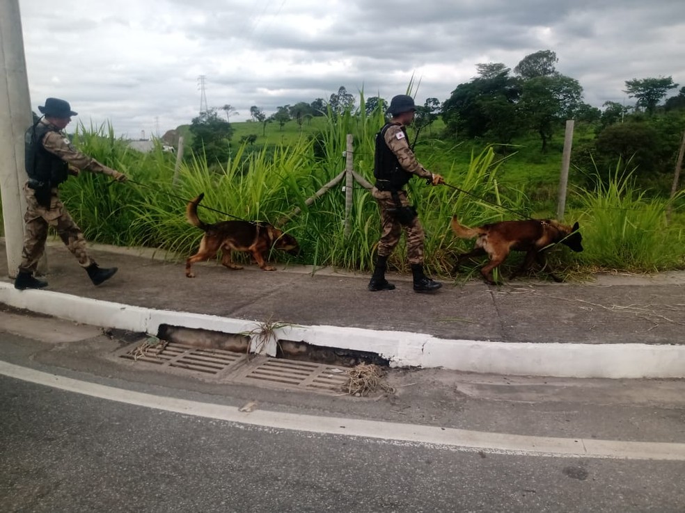 Cães farejadores e helicóptero da PM foram usados para localizar suspeito  — Foto: PMMG/Divulgação 