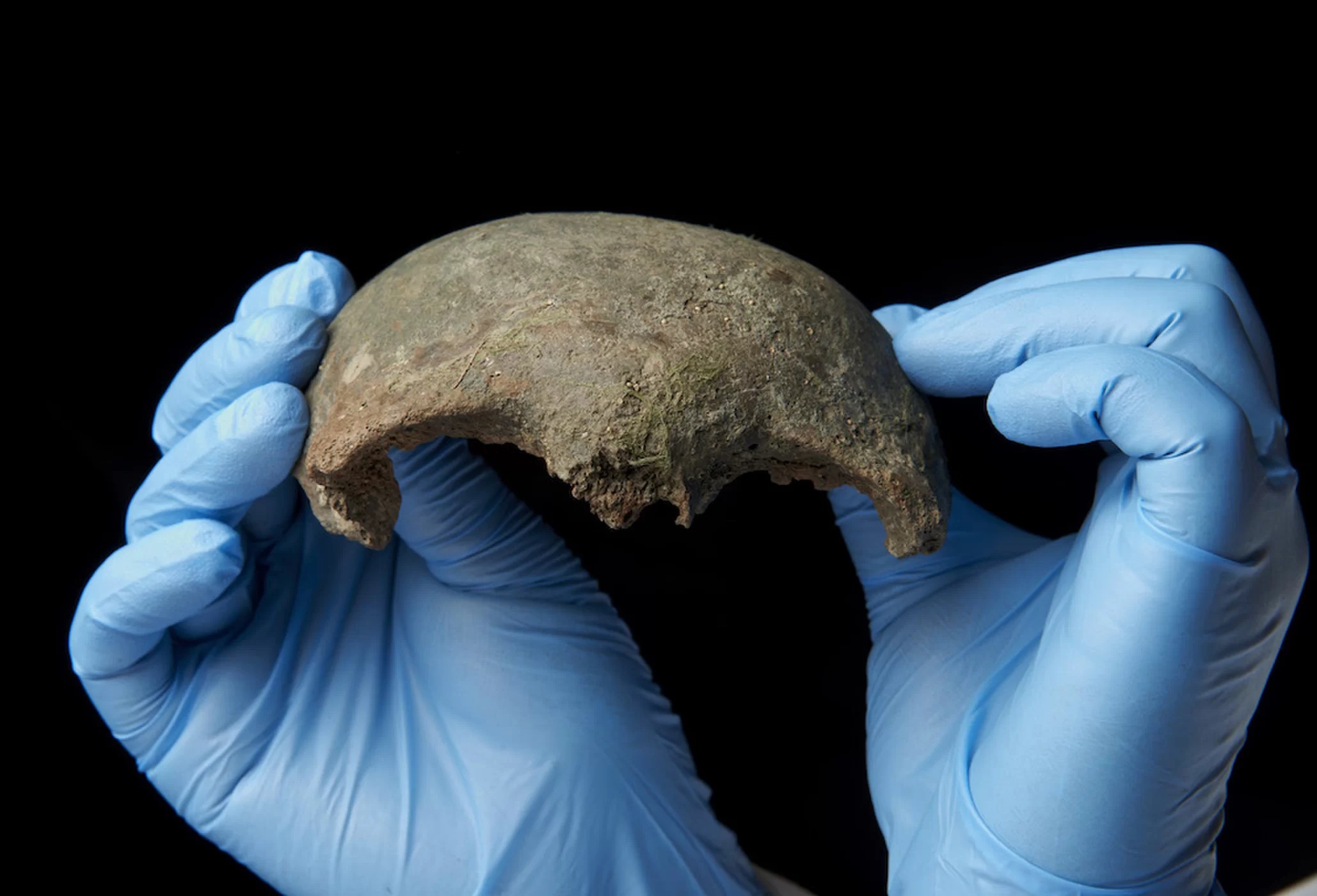 Fragmento do topo de crânio achado no rio Tâmisa, em Londres (Foto: Museum of London)