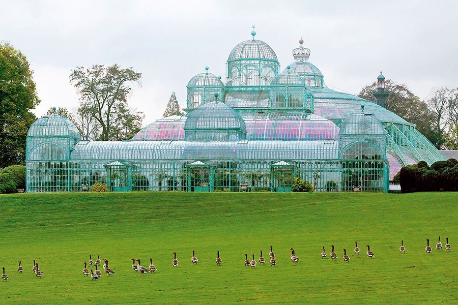 Royal Botanical Garden – Bélgica (Foto: Wikimedia Commons / Creative Commons)