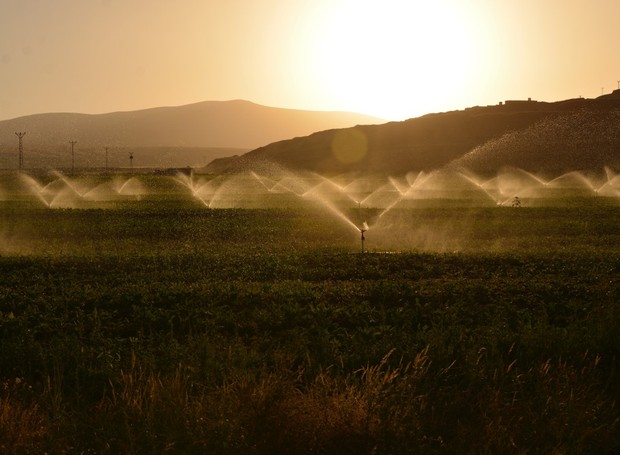 Além de um solo fértil e um ar de qualidade, a irrigação é o terceiro passo para garantir a saúde das plantações (Foto: Pexels / Süleyman Şahan / CreativeCommons)