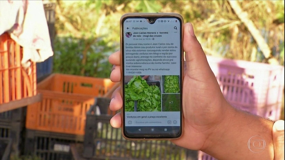 Delivery de hortaliças vira alternativa para manter renda de agricultores no interior de SP thumbnail