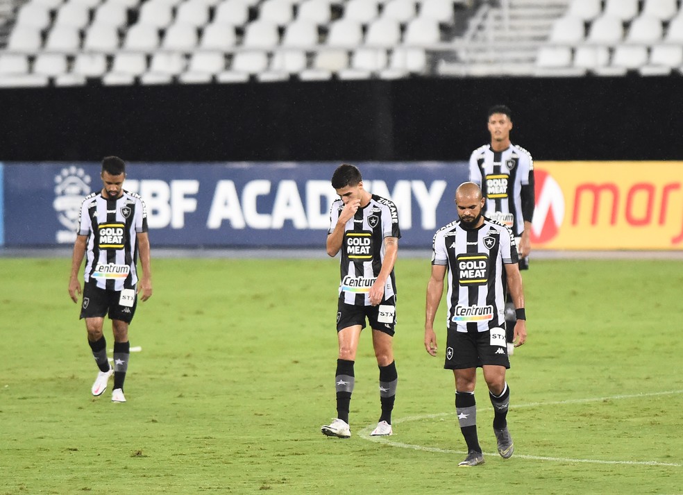 Jogadores do Botafogo cabisbaixos ap�s a derrota e o rebaixamento confirmado � Foto: Andr� Dur�o