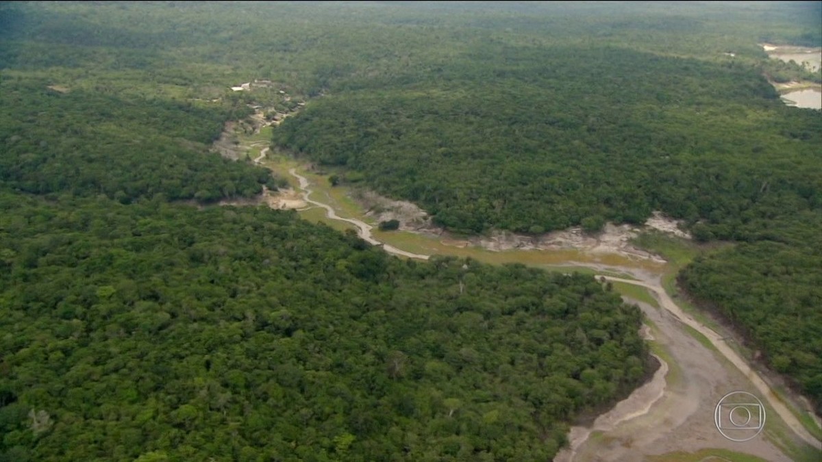 A Floresta Amazonica É Um Exemplo De No Condomínio Geral