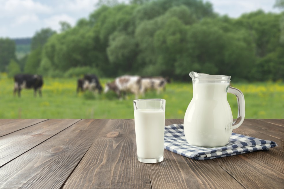 Rondonia Paga O Menor Valor Do Litro Do Leite Entre Os 10 Estados Produtores No Pais Aponta Conab Rondonia Rural G1