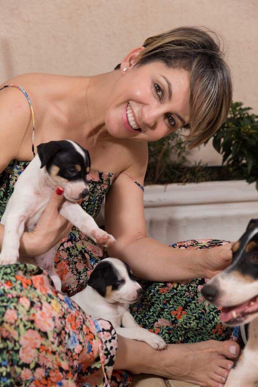 Todos os animais foram adotados ap&oacute;s divulga&ccedil;&atilde;o de fotos (Foto: Frank Busatto/Arquivo Pessoal)