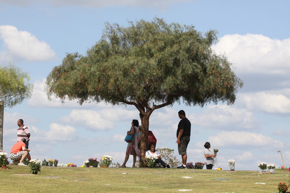 Cemit&eacute;rios da regi&atilde;o de Campinas abrem para visita&ccedil;&atilde;o no Dia dos Pais &mdash; Foto: Raquel Mattos