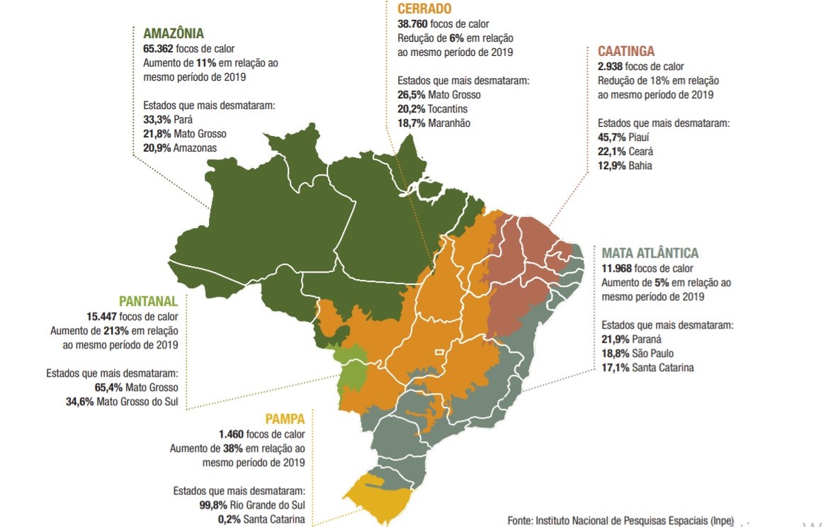 Amazônia Perdeu 44 Milhões De Hectares De área Nativa Nos últimos 34 Anos Revista Globo Rural 3328