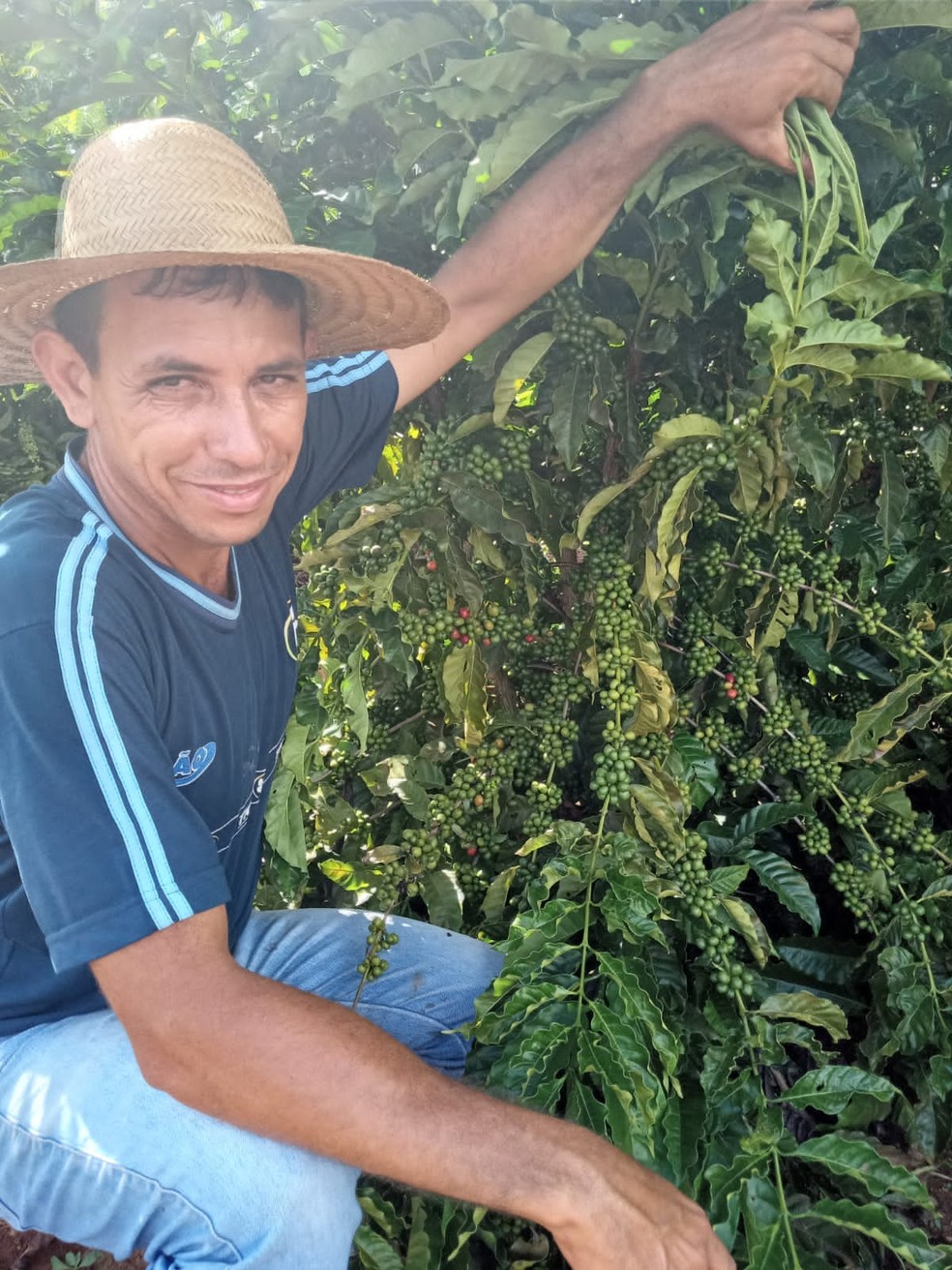 Altivo Berdes, cafeicultor de Rondônia — Foto: Arquivo pessoal
