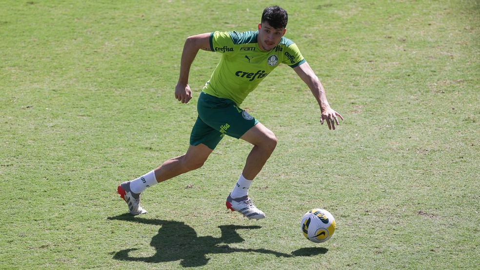 Piquerez está entre os lesionados do Palmeiras e dá lugar a Jorge — Foto: Cesar Greco / Ag. Palmeiras