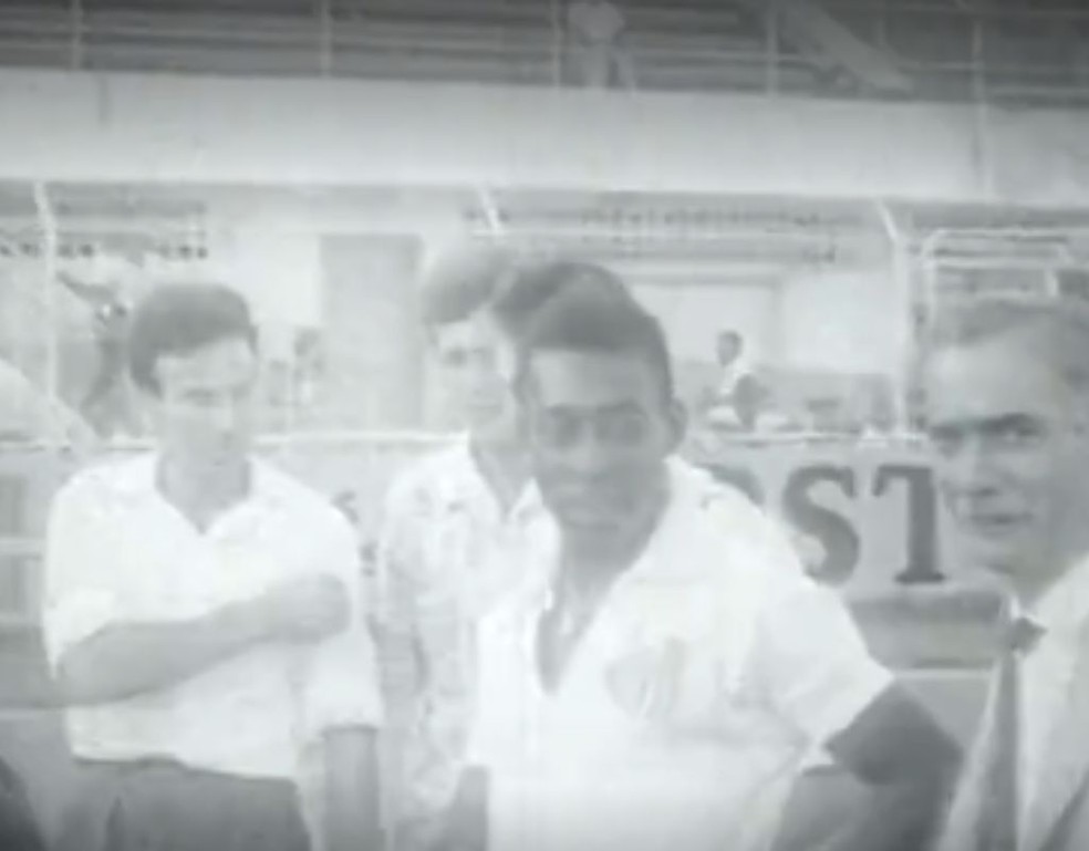 Historiador do Santos FC relembra início de Pelé no clube: 'Chegou com 15 anos' — Foto: Reprodução/TV Tribuna