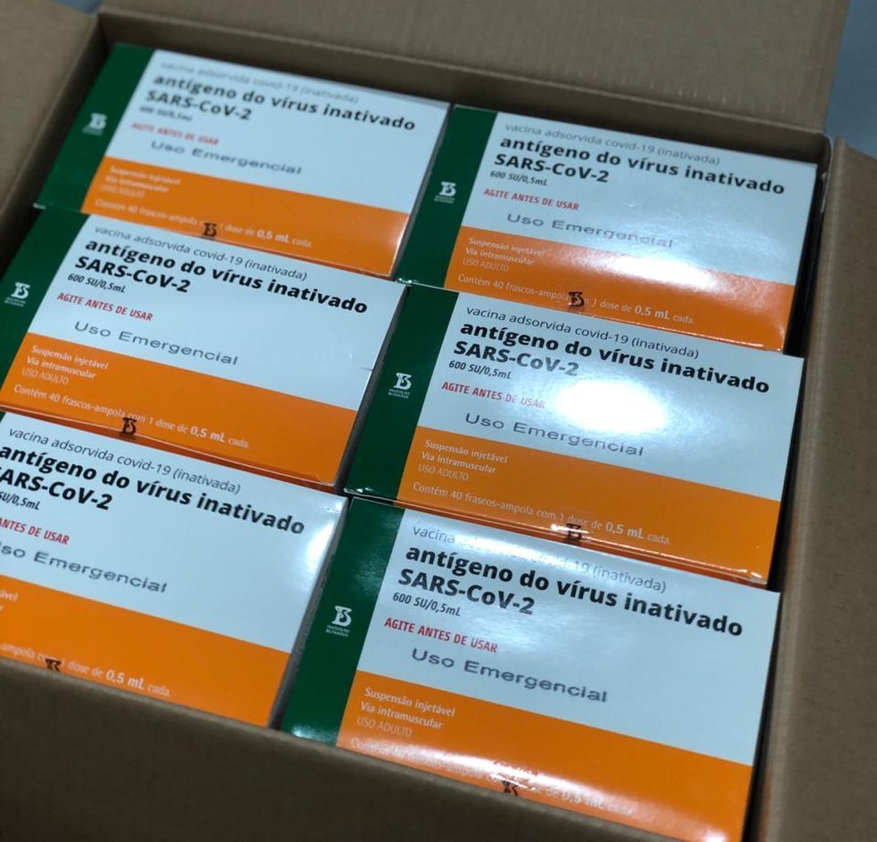Primeiras doses da vacina Coronavac chegaram na Paraíba na noite desta segunda-feira (18) — Foto: SES/Divulgação