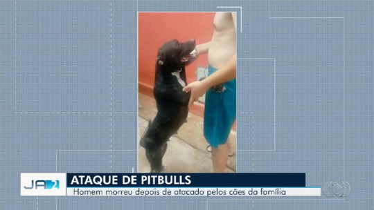 Pintor é morto pelos próprios pit bulls dentro de casa, em Goiânia