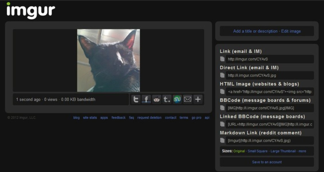 imgur image downloader online