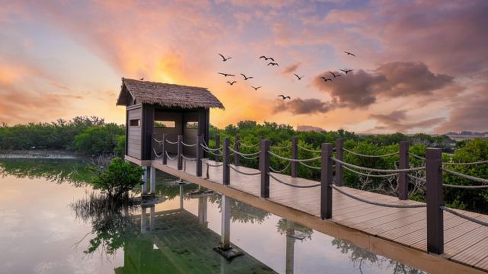 A Ilha Púrpura do Catar é descrita como 'tesouro natural' — Foto: Getty Images via BBC