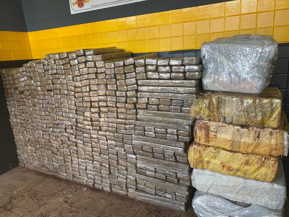 Polícia apreende quase 1 tonelada de maconha em Rio Claro — Foto: Gabriela Ferraz/EPTV
