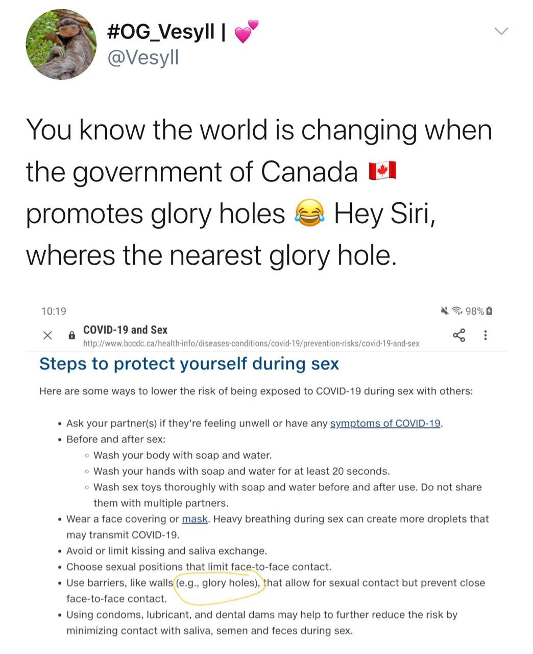 Governo canadense sugere uso de Glory Holes para prática segura de sexo na pandemia (Foto: Reprodução/Twitter)