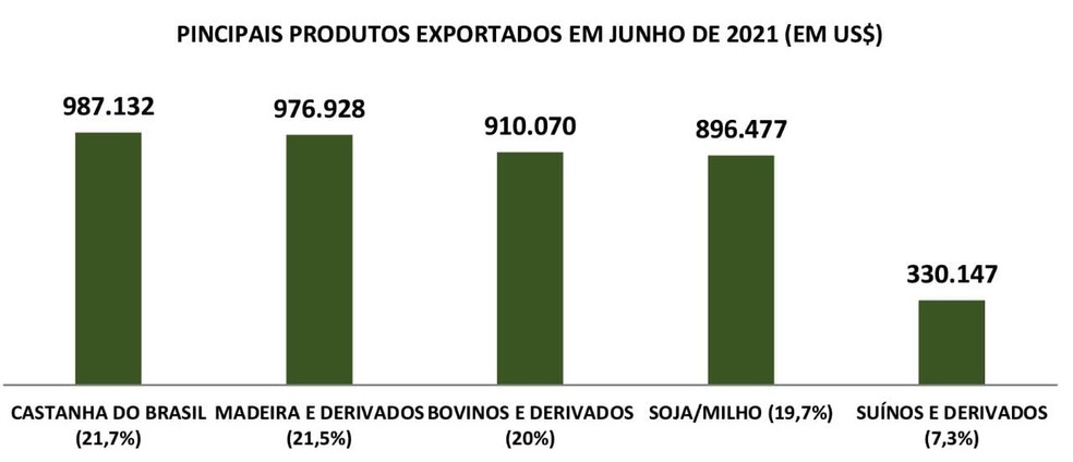 Principais produtos exportados em junho no Acre  — Foto: Reprodução/Observatório do Desenvolvimento