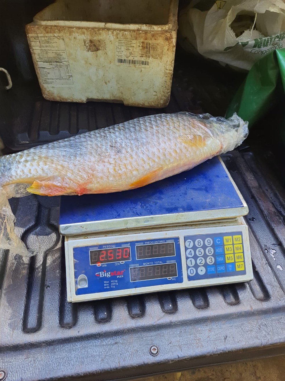 Mais de 11 quilos de peixes foram doados — Foto: Polícia Ambiental