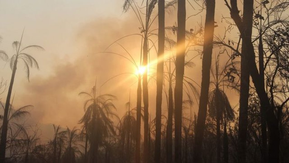 Importante área de preservação da biodiversidade no Pantanal, Serra do Amolar sofre com queimadas — Foto: Sílvio de Andrade/Governo de MS