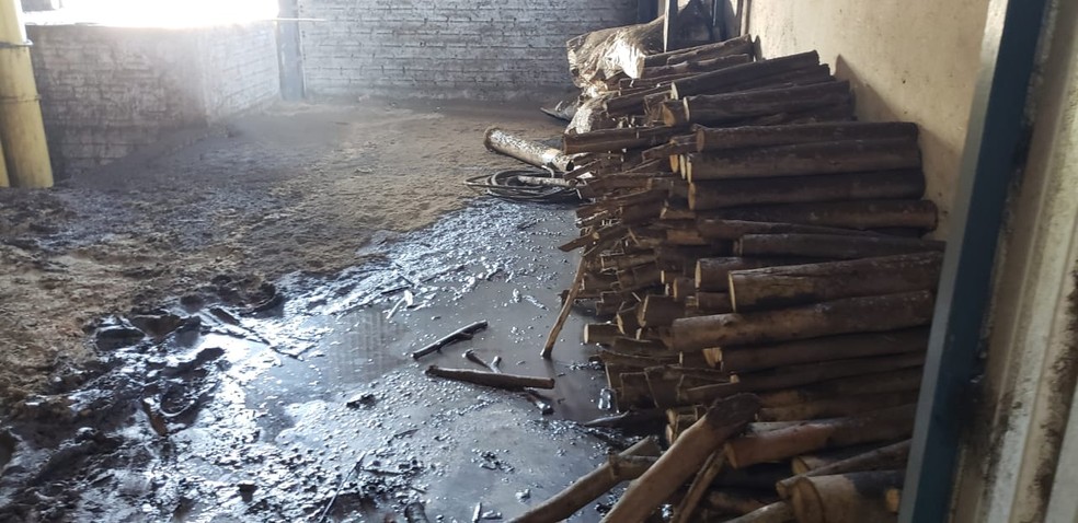 Incêndio destrói cerca de 20 mil kg de café em coco em fazenda de Marília — Foto: Corpo de Bombeiros/Divulgação