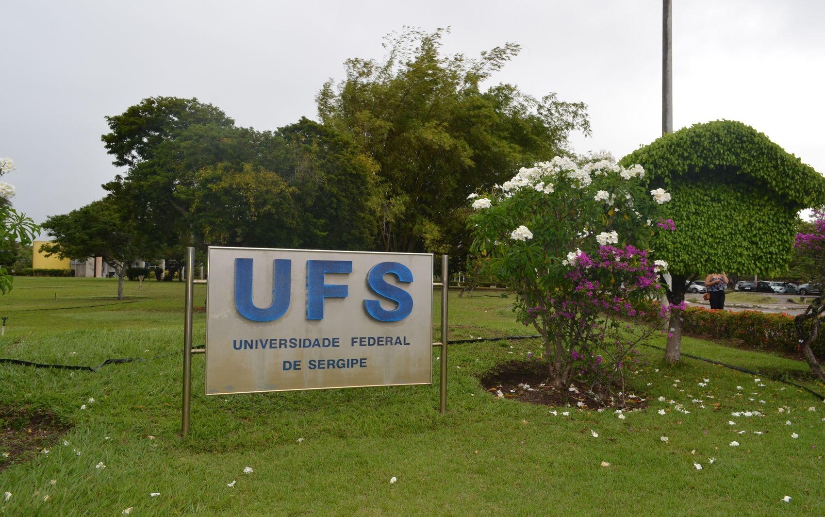 UFS inicia fase de inscrições para mestrado e doutorado