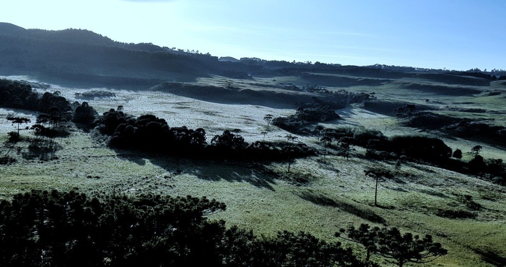 Temperaturas ficam próximas dos 4ºC no amanhecer de São Joaquim (Foto: Mycchel Hudsonn Legnaghi/São Joaquim Online)