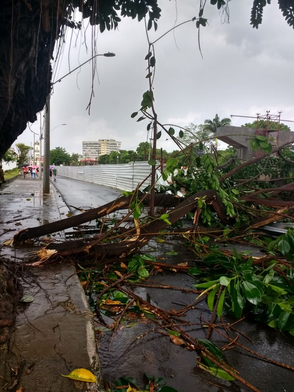 Estrutura que cerca as obras da alça do viaduto foi danificada — Foto: Josiene Rodrigues Fuzario/Arquivo pessoal