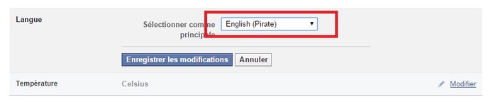 Easter egg coloca linguagem divertida dos piratas na interface (Foto: Reprodu??o/Facebook)