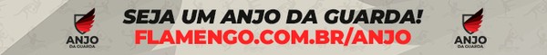 Banner Flamengo Anjo da Guarda  Foto: Divulgao