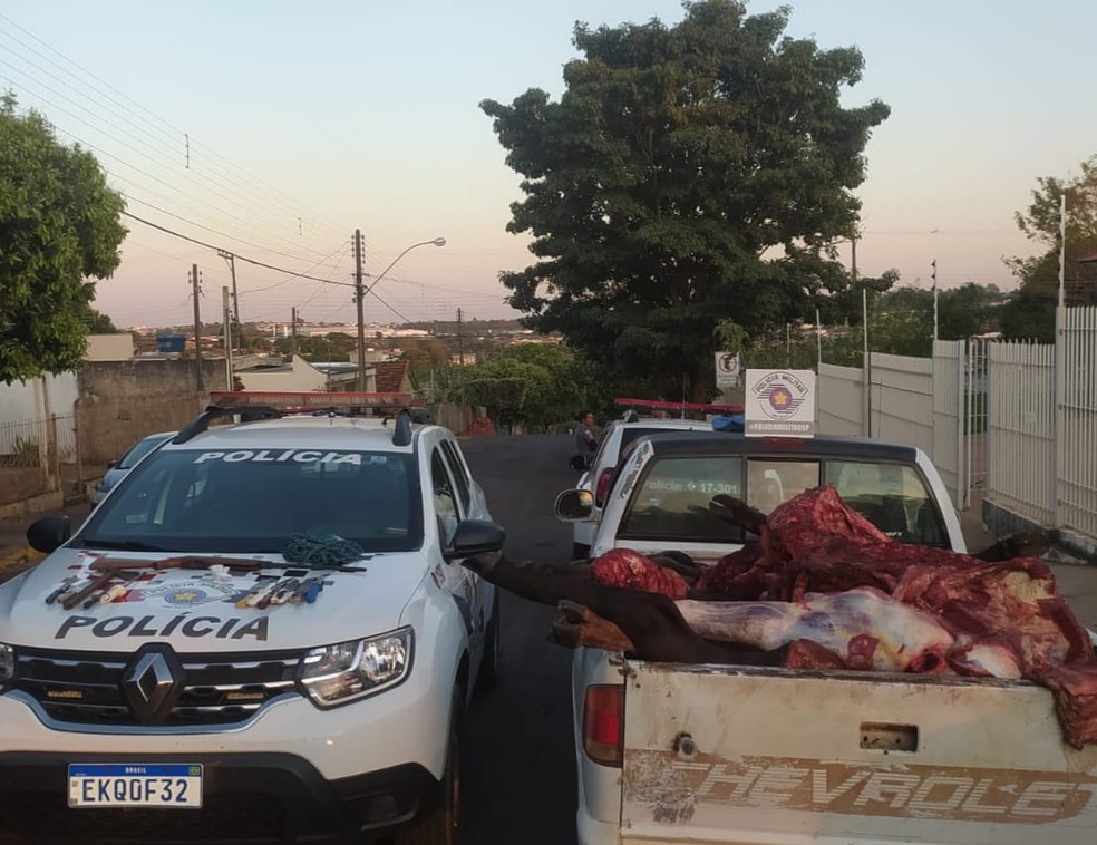 Homens foram presos em flagrante por furto de gado nesta terça-feira (26) — Foto: Polícia Militar