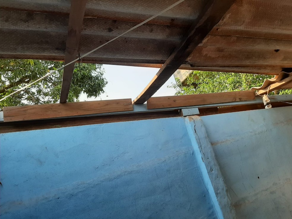 Temporal atingiu abrigo de animais em Martinópolis — Foto: Ana Paula Leocádia Puro/Cedida