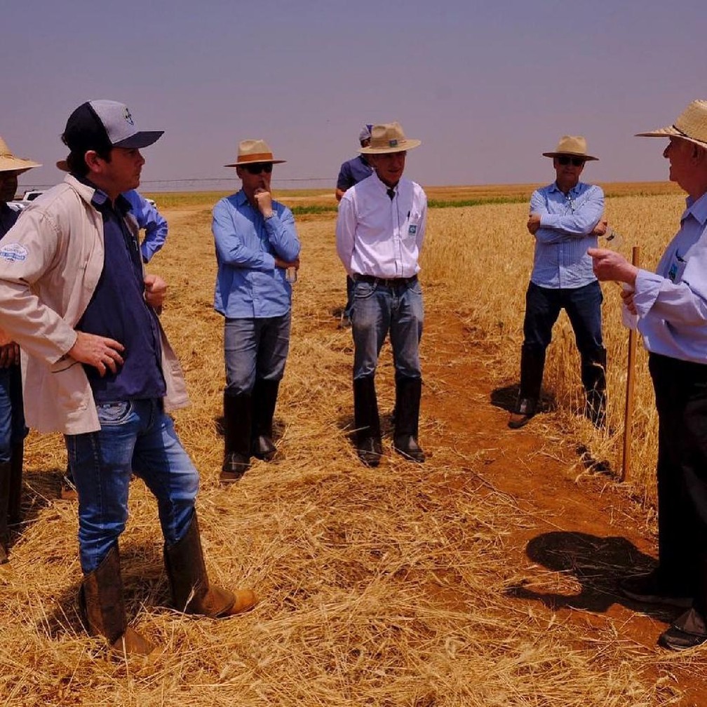 Evento discutiu o cultivo de trigo em Mato Grosso  Foto: Secom - MT