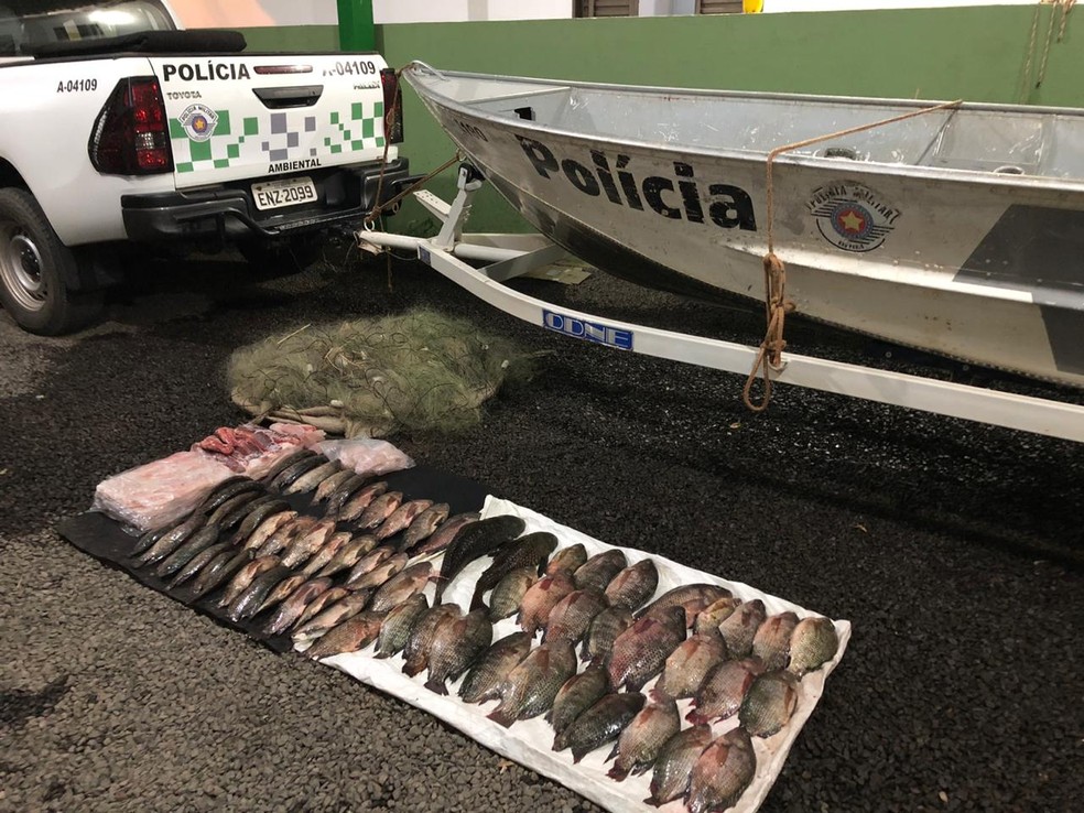Pescado apreendido pela polícia em Novo Horizonte — Foto: Divulgação/Polícia Ambiental