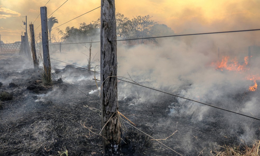 Cerca e vegetação foram atingidas por incêndio — Foto: Luzi Henrique Machado/Governo do Tocantins