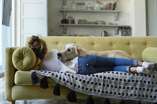 Everyday life at home with dogs (Foto: Getty Images)
