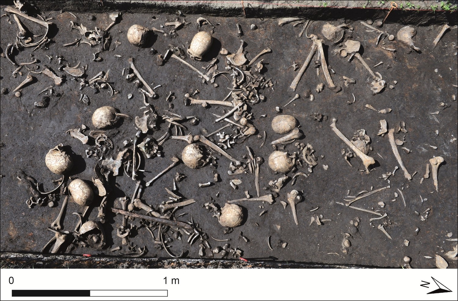 Restos mortais encontrados na mesma camada do solo que os objetos, perto do rio Tollense, em Weltzin, na Alemanha (Foto: Stefan Sauer/Universidade de Göttingen)