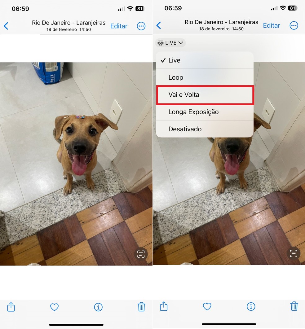 Transformando uma Live Photo em GIF no iPhone (iOS) — Foto: Reprodução/Clara Fabro