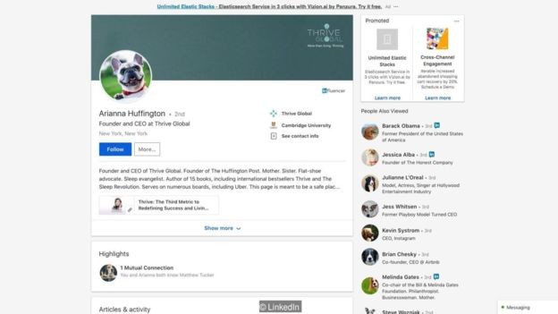 Extensão de navegador transforma fotos de usuários do LinkedIn em imagens aleatórias de cachorros (Foto: REPRODUÇÃO / BBC)