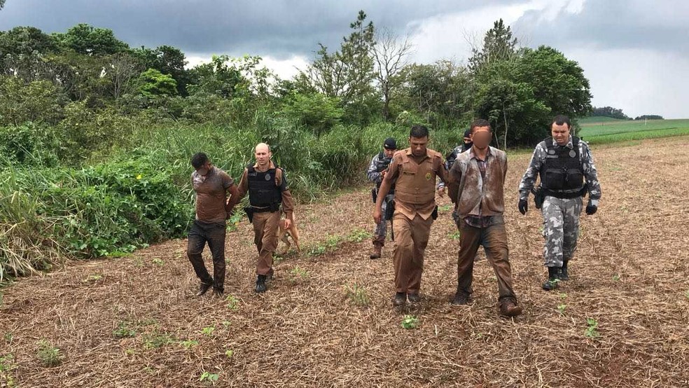 Dois homens foram presos após policiais cercarem matagal localizado às margens da PR-323, em Doutor Camargo (Foto: PRE/Divulgação)