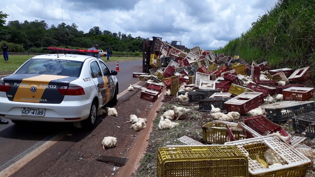 Título principal * Caminhão carregado com galinhas tomba na SP-255 sentido Barra Bonita — Foto: Divulgação/Polícia Rodoviária