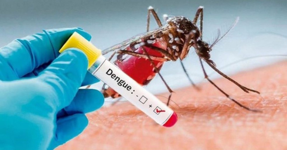 Mairinque tem 20 casos confirmados de dengue este ano | Sorocaba e ...