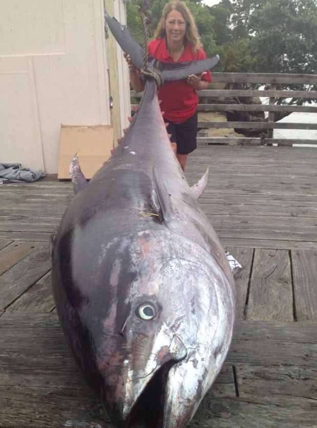 Donna Pascoe fisgou atum de 411,6 quilos e bateu recorde (Foto: Reprodução/Facebook/Donna Pascoe)